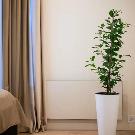 мм Group Apartment