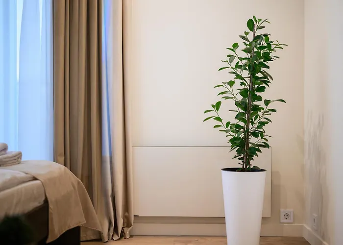мм Group Apartamento